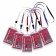Badge vertical 54 x 85 mm, erichkrause transparent case, textile tape, mix color
