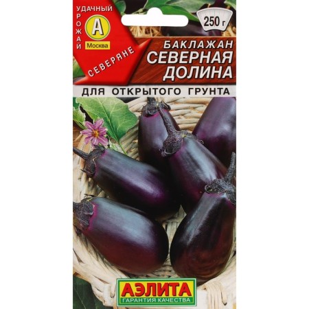 Embalious eggplant seeds "Northern Valley" Early, for open ground, cold -resistant, compact, without bitterness