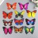 Magnet "Two -layer butterfly" 11 × 9 cm