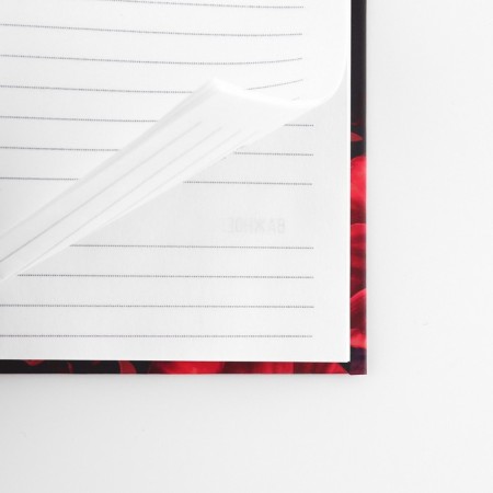 Set "Blave": pen and diary 80 sheets-6