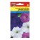 Petunia flowers "Dreams Ocean", 10pcs