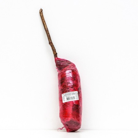 Raspberry repair varieties suite "Raspberry ridge" 1 pc, tube, spring 2025-2