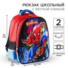 School backpack, 39 cm x 30 cm x 14 cm 