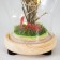 Nightnik Sobe "Flowering Love" LED from batteries LR44 MIX 8x8x19 cm Risalux