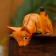 Souvenir tree "Kitten Ginger is peeping" 11x8x4.5 cm