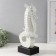 Souvenir Ceramics "Sea Horse" White 15x12.5x42.5 cm