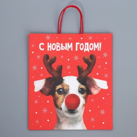 Package Gift craft "Deer you", 28 x 32 x 15 cm, New Year-6