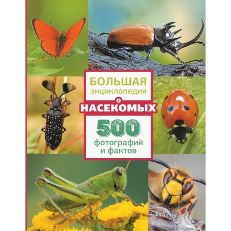 Big encyclopedia about insects. 500 photos and facts