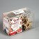 Garland “thread” 2.5 m with nozzles “Zvezda”, IP20, transparent thread, 10 LED, warm white glow, AAH2