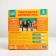 Mental arithmetic manuals 10-14 years old