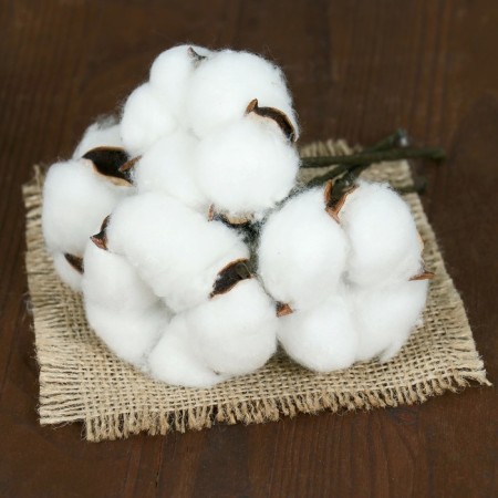 Bouquet of 4 branches "cotton" D-5 cm 8 cm