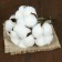 Bouquet of 4 branches "cotton" D-5 cm 8 cm