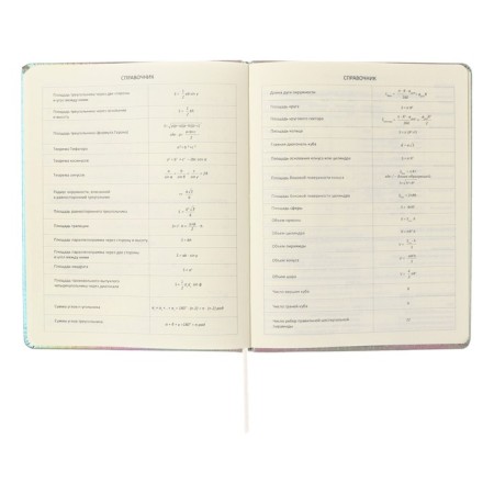 Universal diary for grade 1-11 "Take me such", solid cover, artificial leather, foam rubber, silkography, liesse, 80 g/m2-8