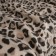 Fleet “Leopard” plaid, size 150x200 cm, sandy color