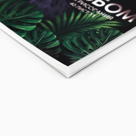 Album for drawing 40 A4 sheets on the spring “September 1: Panther” cover 200 g/m2, paper 100 g/m2.-2