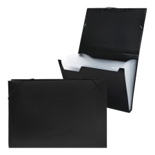 Folder Carder Calligrata 13 Department. A4 plastic 0.7mm black. Mix TsV rubber bands
