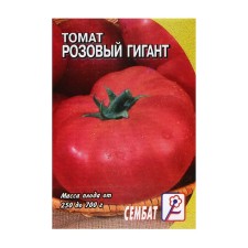 Seed Tomat 