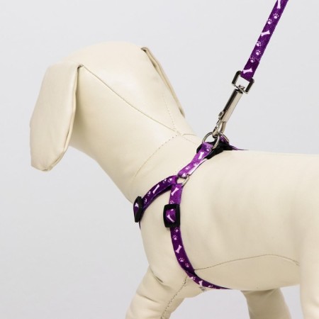 Set "Classic", leash 120 x 1 cm, fire 28-47 cm, purple-6