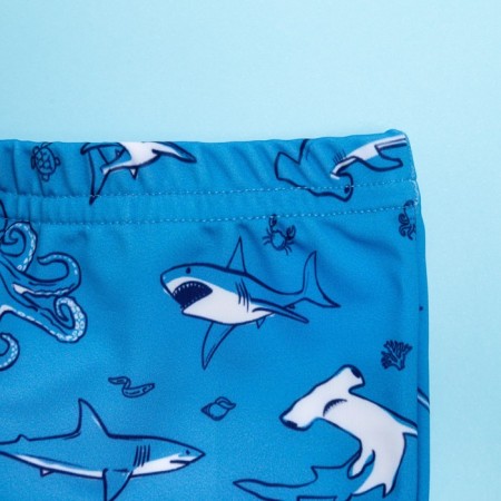 Bathing swimming trunks for the boy KAFTAN “Underwater World” Growth 86-92 (28), Blue color-1