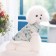 Dog jacket "Tenderness", size XS