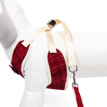A set with a soft cliff "cells", size m, leash, 120 x 1.5 cm, og 34-66 cm, red-4