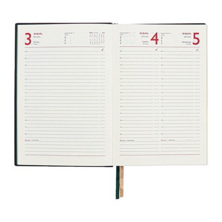 Dated 2025 diary, A5, 176 sheets of Escalada, solid cover of artificial leather, 3D design, embossing foil, lies, cream block 70 g/m2, green-11