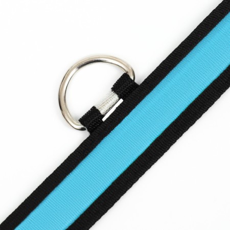 Collar with flash light 3 lumber modes Size S, Osh 35-43 x 2.5 cm blue-8
