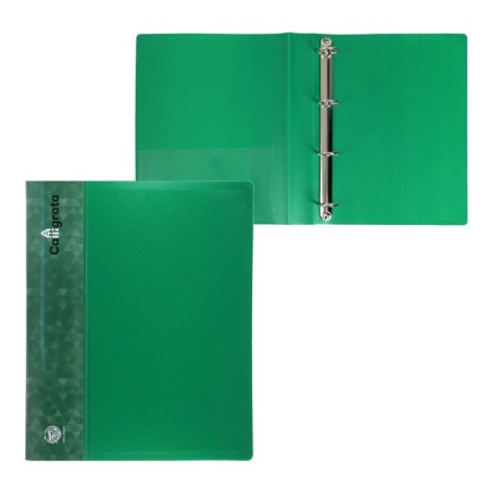 Folder on 4 rings A4 Calligrata, 40 mm, 700 μm, plastic, inner pocket, pocket for a spine, green