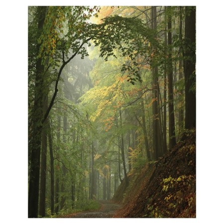 Pillow Golk "Calm forest, decorative, size 16x45 cm-1