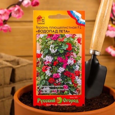 Seeds of flowers is geranium, "summer waterfall", ivy, mixture, 5 pcs.-2
