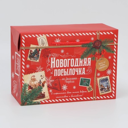 Package - Parse, 28 x 20 x 13 cm, New Year-4