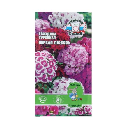 Seed Flower Carnation "First Love" 0.1 g-2