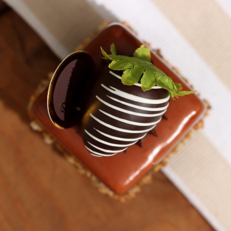 Dummier - Magnet "Pies Magniff" Chocolate, 5x5x9cm-2
