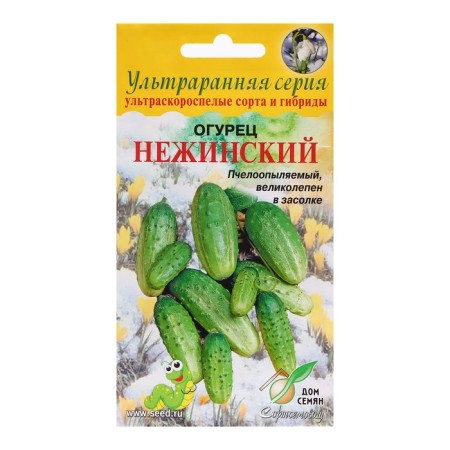 Seeds of cucumber "Nezhinsky", 10 pcs