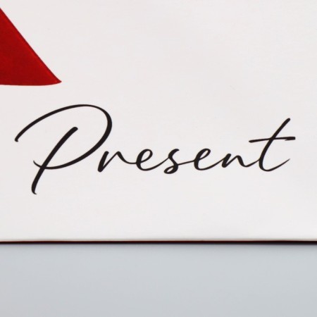 Gift package with a wide bottom, packaging, “Gift”, 20 x 14 x 13.2 cm-4