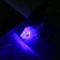 Light flashlight on the Rybka ring flashes mix 3x6.2x3.7 cm