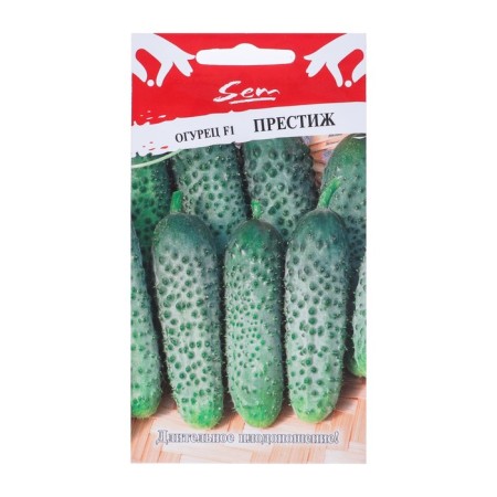 Cucumber seeds "Prestige", F1, 10 pcs