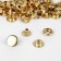 Installation button, omega (o-shaped), d = 15 mm, gold color