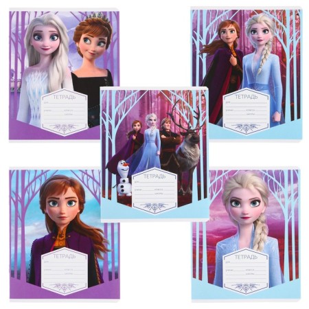 Notebook in a ruler of 12 sheets, 5 types of mix, cover coated cardboard, cold heart-12