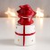 Polystone souvenir "Grandfather Frost in the dwarf cap on the gift" MIX 9x5x4 cm