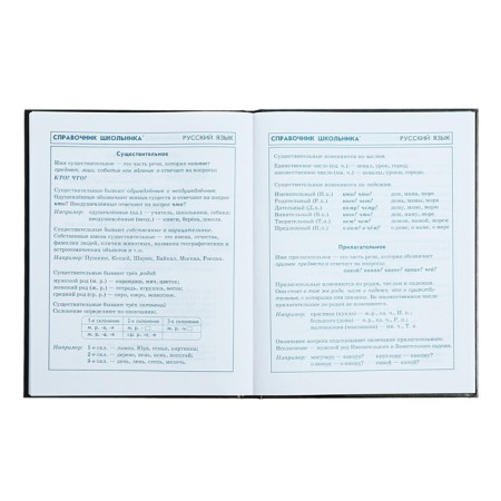 School diary for grade 1-4, 48 sheets "Racing", hard cover, glossy lamination, universal cheat sheet, block 65 g/m2-11