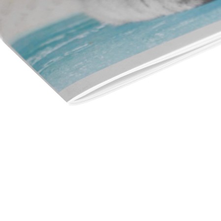 Album for drawing A4, 24 sheets on the board "Lunch", cover coated paper 120 g/m², internal block offset 100 g/m²-2