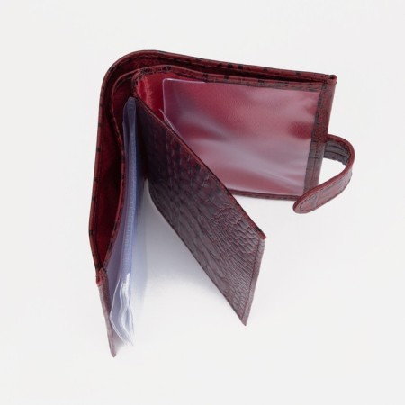 Cover for autoDocations and passports on the button, burgundy color-3