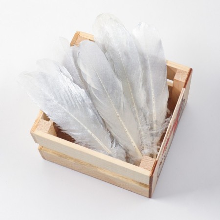 Feathers for decor, silver full color, 13-15 cm 10 pcs-2