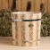 LIPS-18 liter, plastic insert, handle-lane (Figure 1)