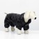 Kombinson "Shine", size S (DS 24 cm, OG 34, Osh 23 cm, up to 5 kg), black