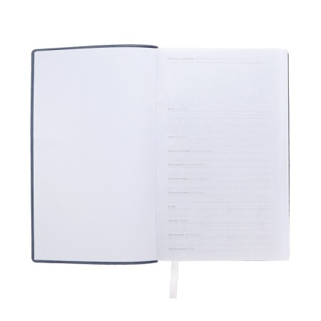 Lowed diary, 130x200 mm 128 sheets, leatherette, gray block 70 g/m2, lies, branch for a handle, gray-2