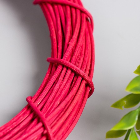 Ring Roadan for manufacturing the Fuchsia Dreams Catcan D = 20 cm-1