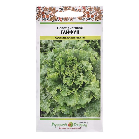 Seeds of leaf salad "Typhoon", c/p, 1 g