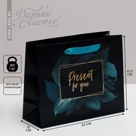 Gift Laminated Horizontal Package, Packaging, Present for You, 22 x 17.5 x 8 cm